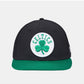 buy-new-era-men-s-boston-celtics-9forty-cap_fiy