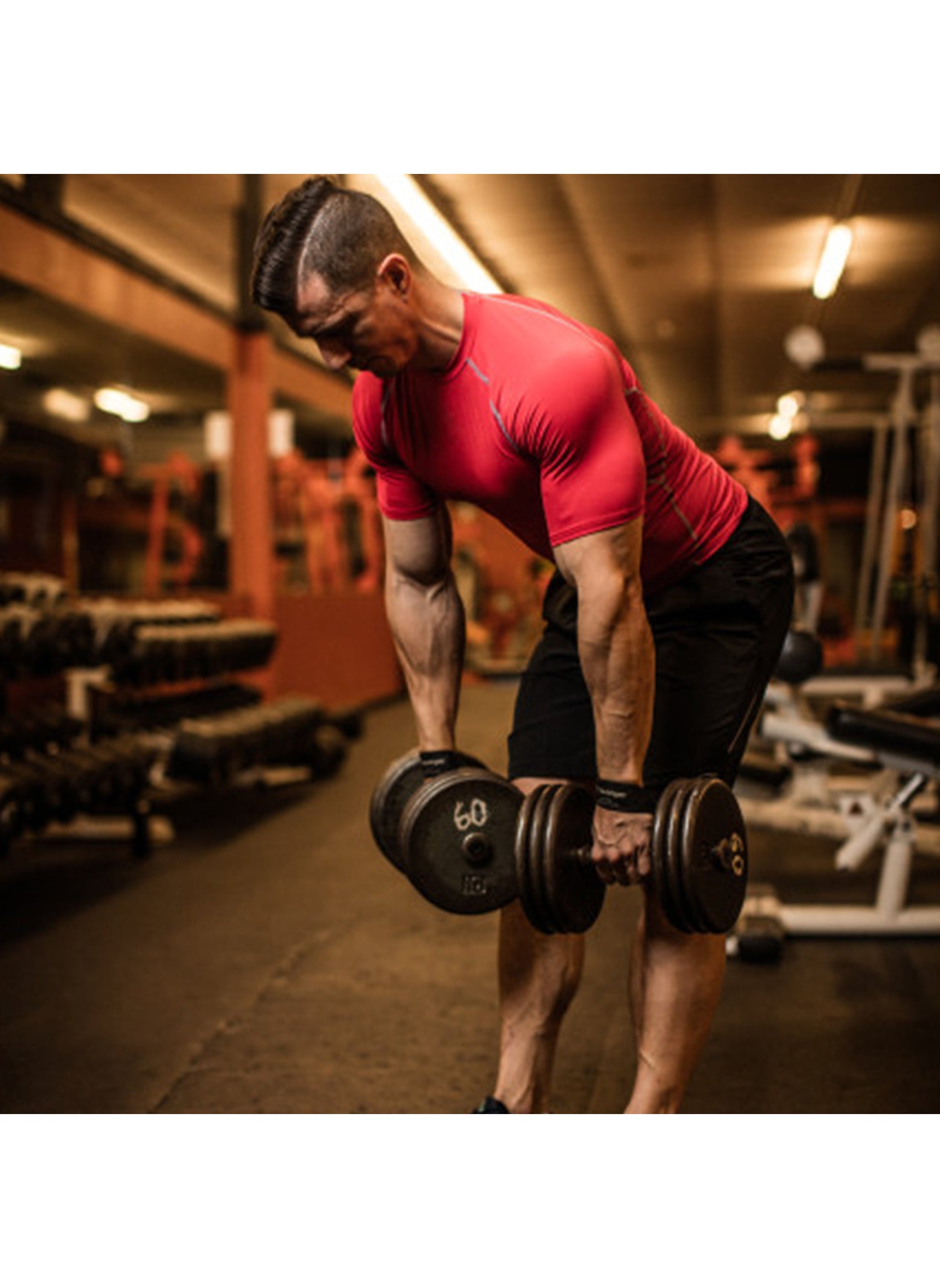 buy-harbinger-weight-lifting-straps-1-pair_eg8