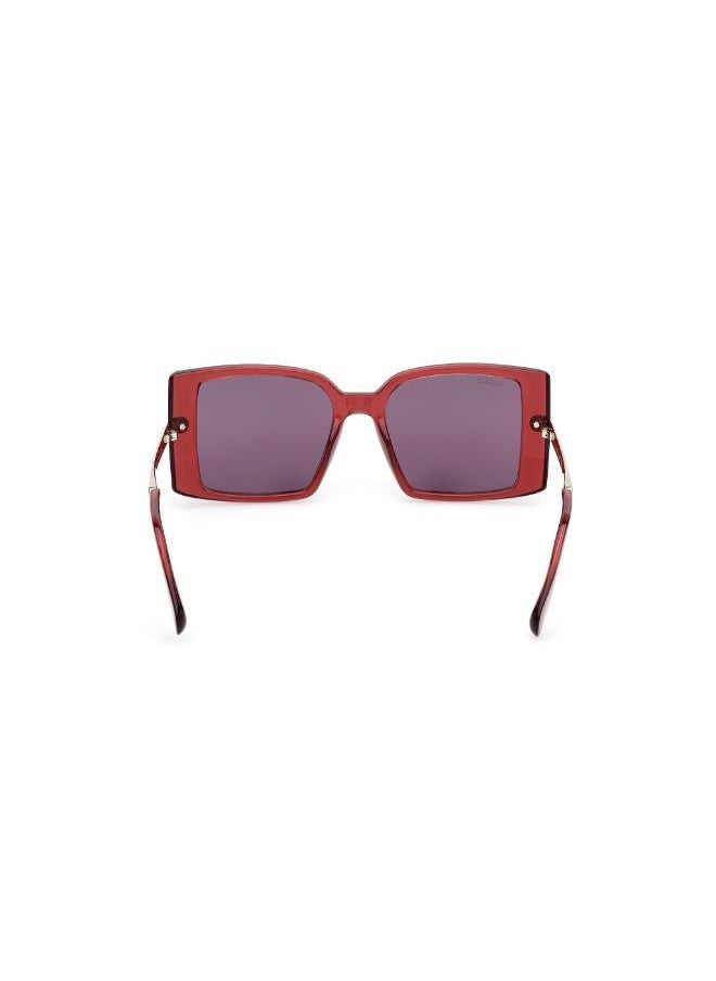 buy-maxco-injected-shaped-sunglasses_i1v