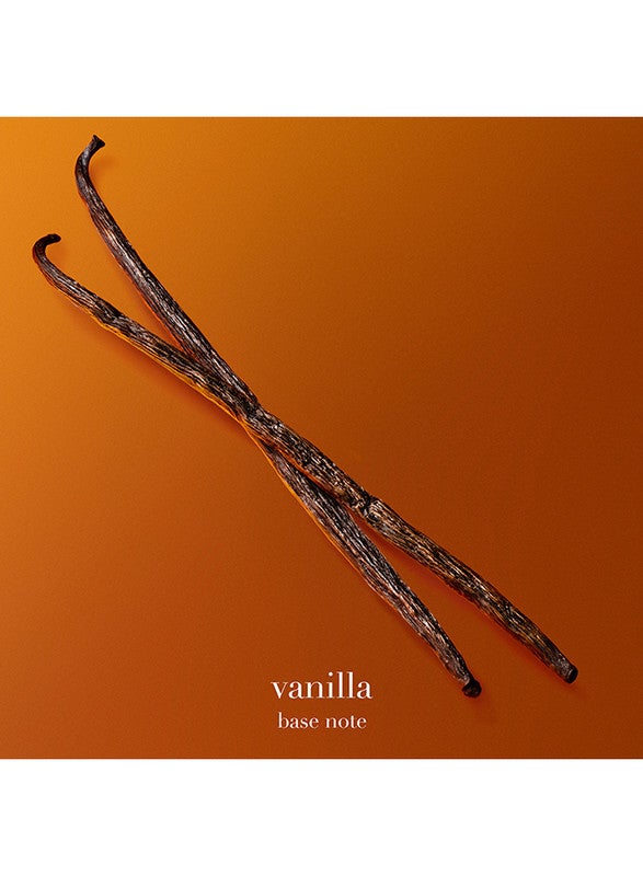 buy-armani-emporio-armani-stronger-with-you-amber-100ml_gto