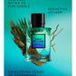 David Beckham True Instinct EDP 75ml – Unveil Masculine Elegance