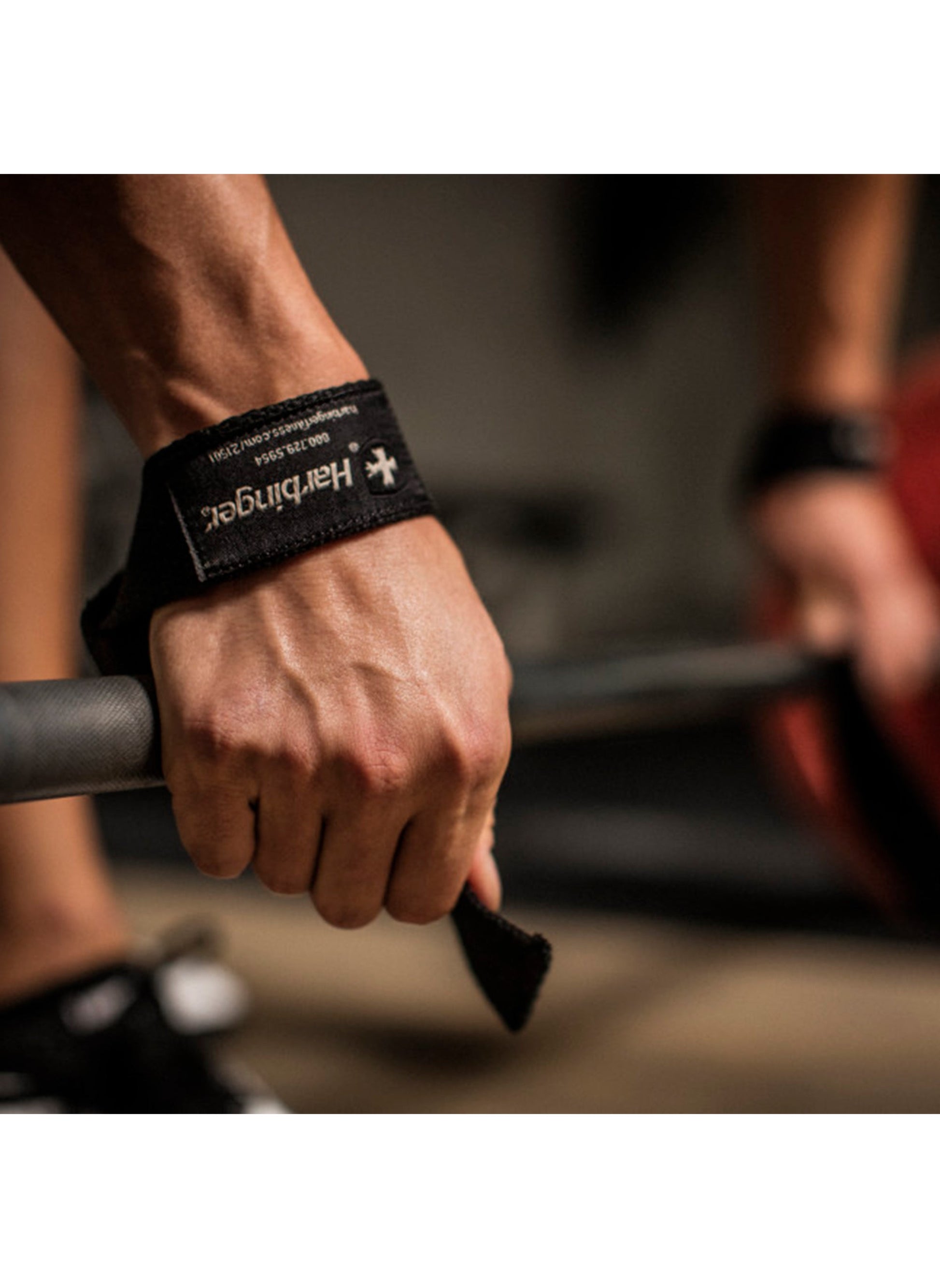 buy-harbinger-weight-lifting-straps-1-pair_xcu