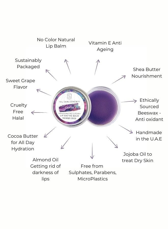 buy-the-skin-concept-the-skin-concept-lip-soothe-balm-grape-handmade_p8o