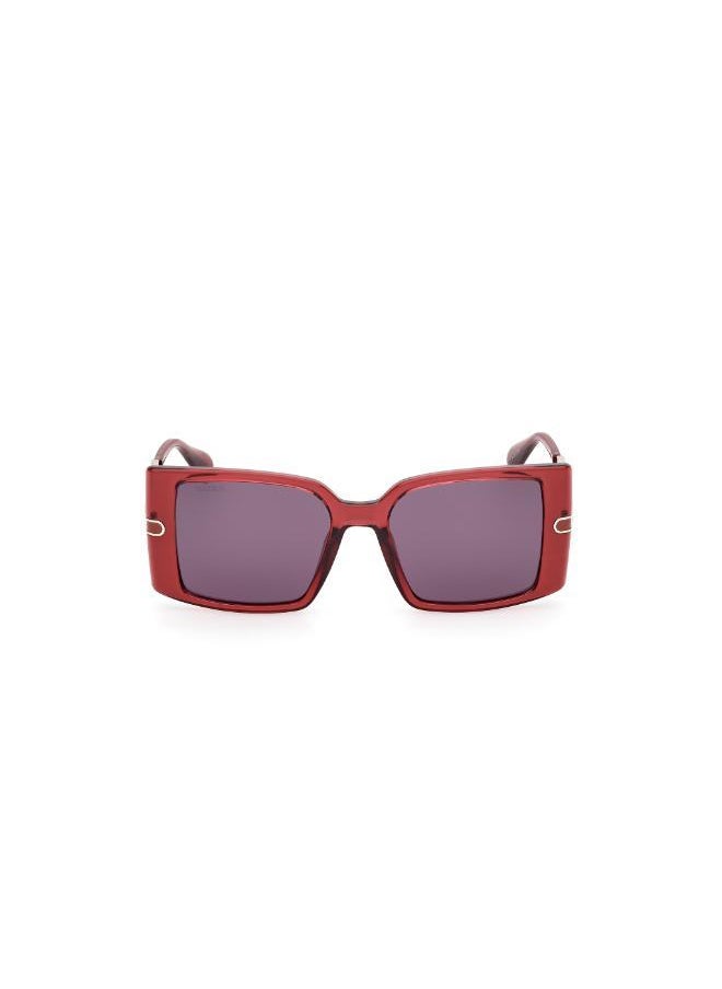 buy-maxco-injected-shaped-sunglasses_8xj